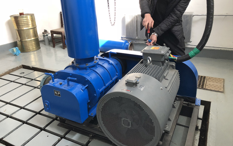 Principle of roots blower